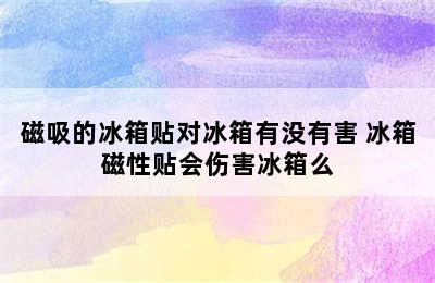 磁吸的冰箱贴对冰箱有没有害 冰箱磁性贴会伤害冰箱么